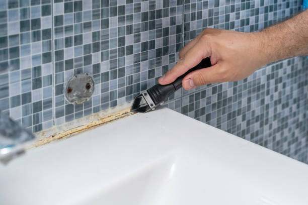 Best Emergency Mold Remediation in Santee, SC